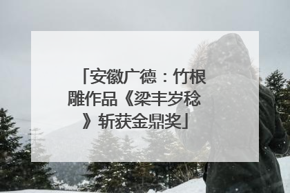 安徽广德：竹根雕作品《梁丰岁稔》斩获金鼎奖